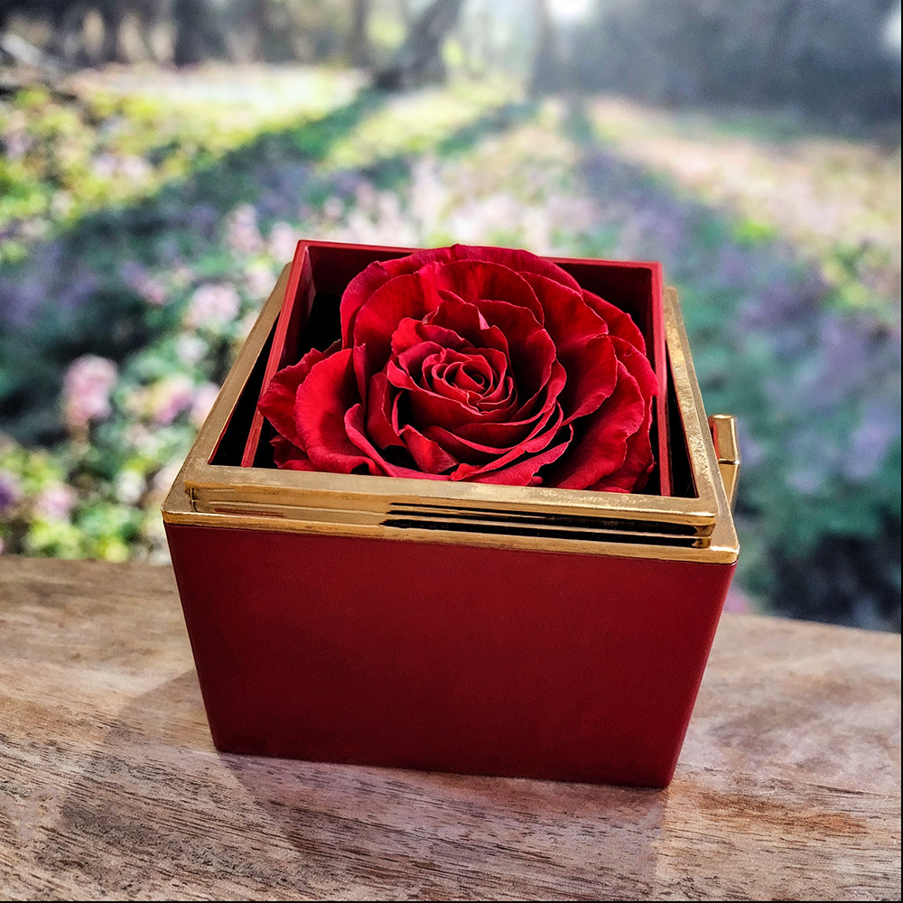 KOVE Sample - Love Knot with Rotating Rose Gift Box