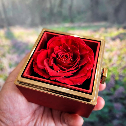 KOVE Sample - Love Knot with Rotating Rose Gift Box